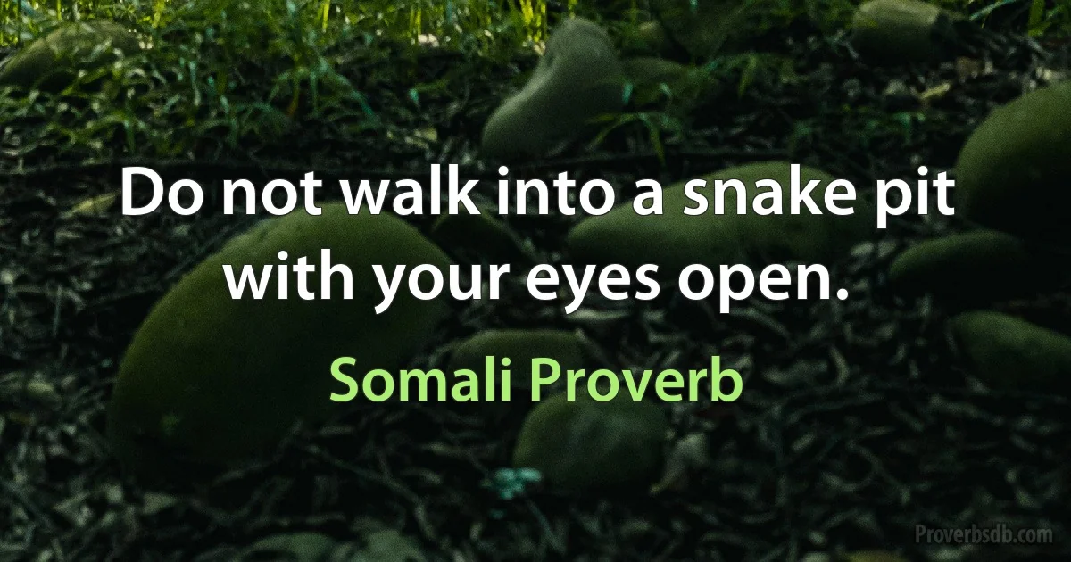 Do not walk into a snake pit with your eyes open. (Somali Proverb)