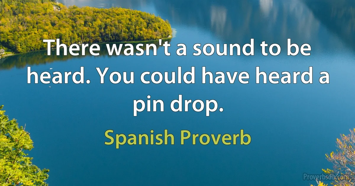 There wasn't a sound to be heard. You could have heard a pin drop. (Spanish Proverb)