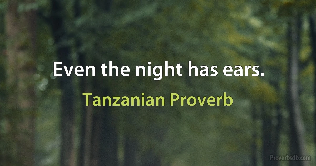 Even the night has ears. (Tanzanian Proverb)