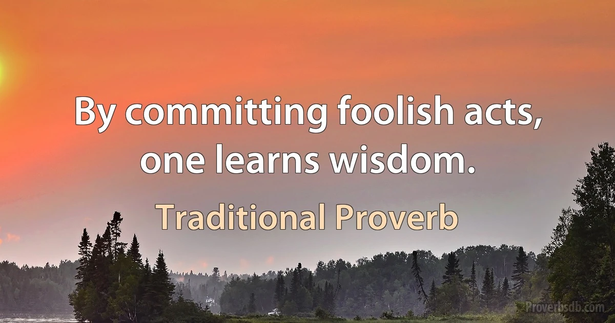 By committing foolish acts, one learns wisdom. (Traditional Proverb)