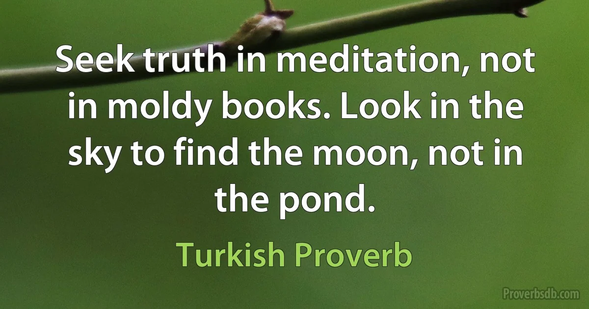 Seek truth in meditation, not in moldy books. Look in the sky to find the moon, not in the pond. (Turkish Proverb)