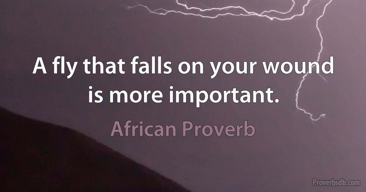 A fly that falls on your wound is more important. (African Proverb)