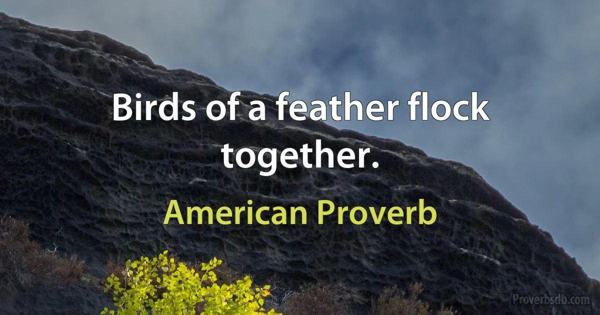 Birds of a feather flock together. (American Proverb)