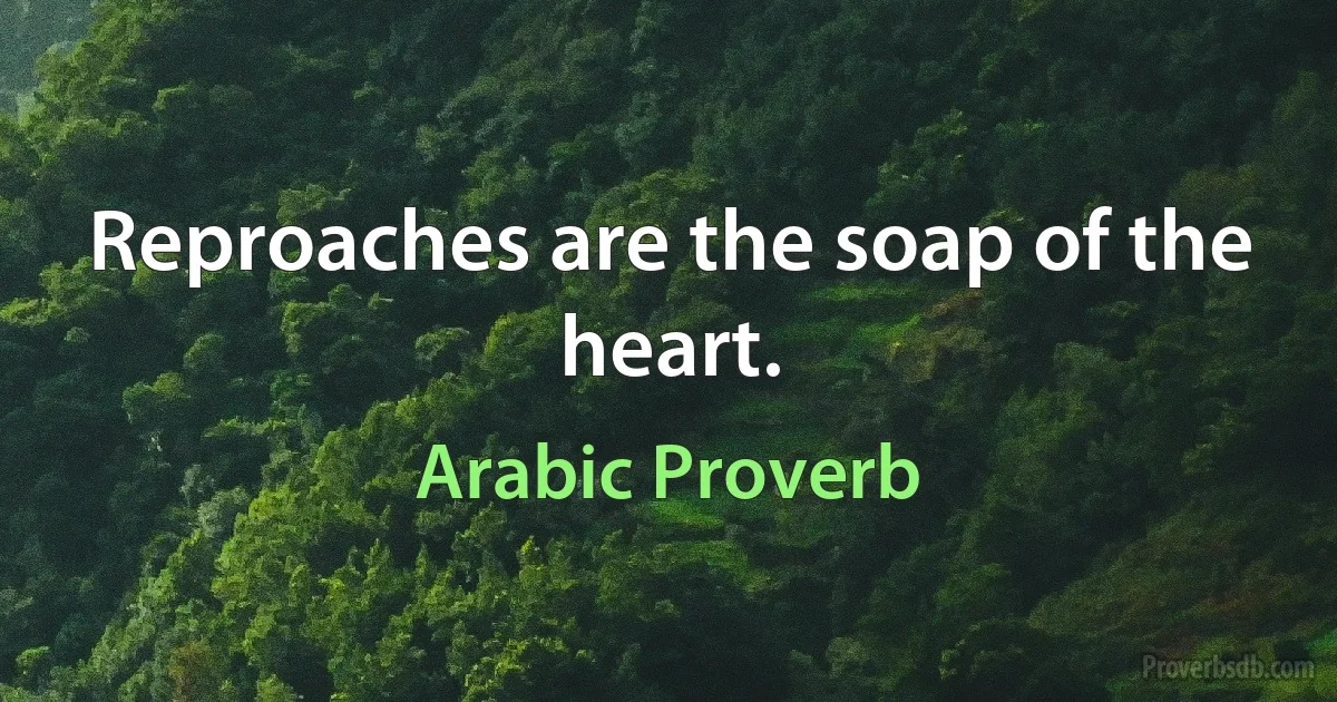 Reproaches are the soap of the heart. (Arabic Proverb)