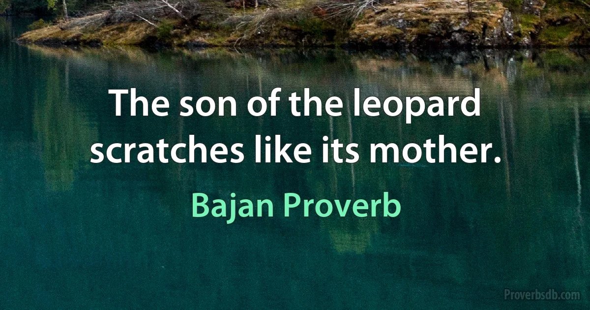 The son of the leopard scratches like its mother. (Bajan Proverb)