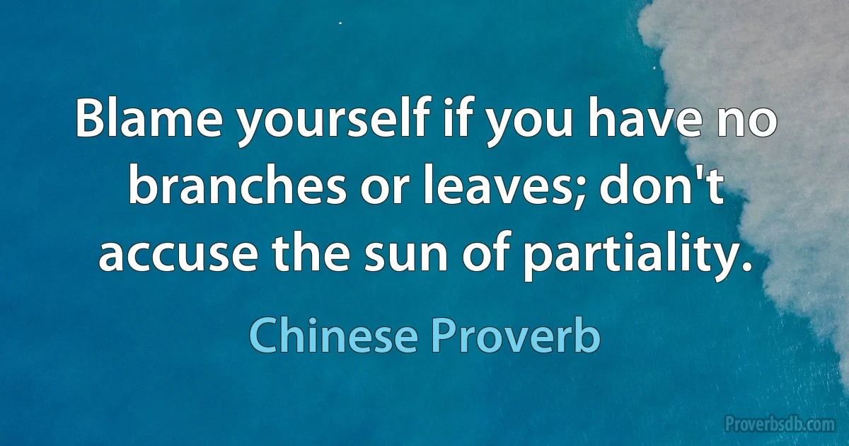 Blame yourself if you have no branches or leaves; don't accuse the sun of partiality. (Chinese Proverb)