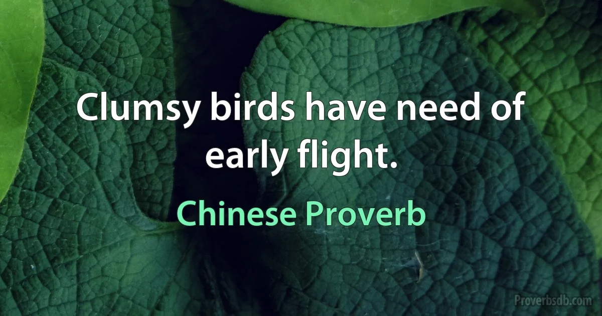 Clumsy birds have need of early flight. (Chinese Proverb)