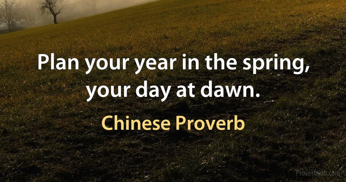 Plan your year in the spring, your day at dawn. (Chinese Proverb)