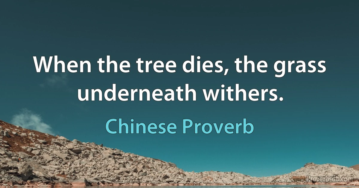 When the tree dies, the grass underneath withers. (Chinese Proverb)