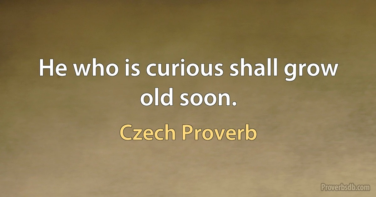 He who is curious shall grow old soon. (Czech Proverb)