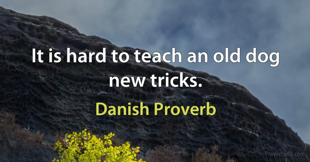 It is hard to teach an old dog new tricks. (Danish Proverb)