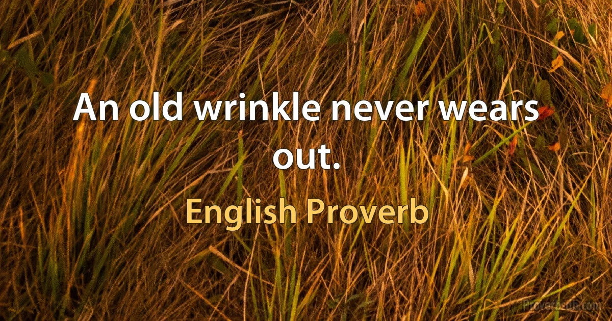 An old wrinkle never wears out. (English Proverb)