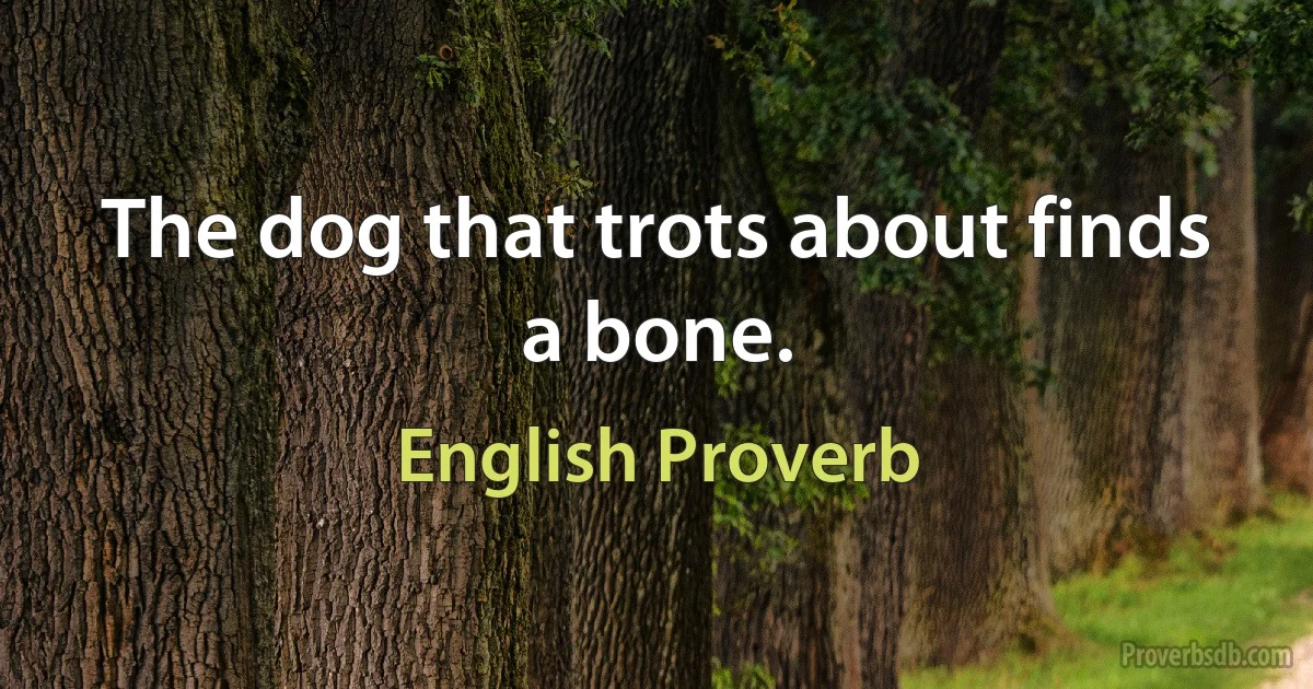 The dog that trots about finds a bone. (English Proverb)