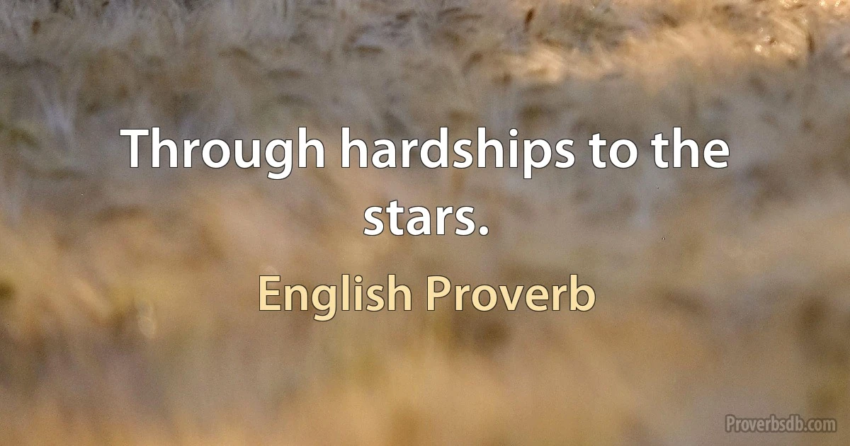 Through hardships to the stars. (English Proverb)