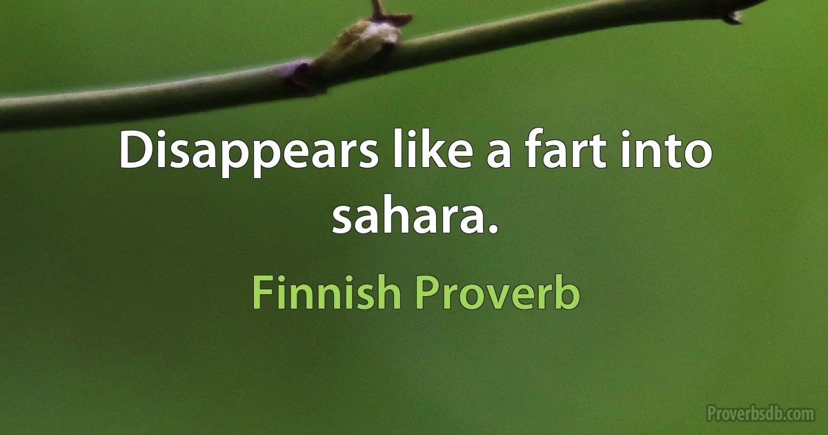 Disappears like a fart into sahara. (Finnish Proverb)