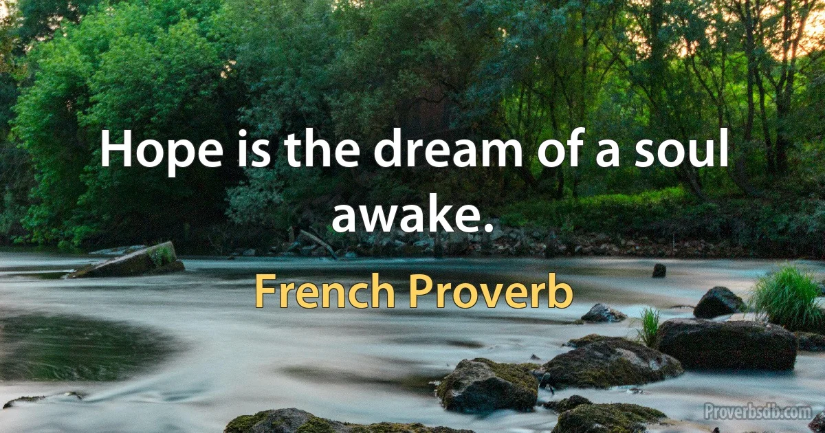 Hope is the dream of a soul awake. (French Proverb)