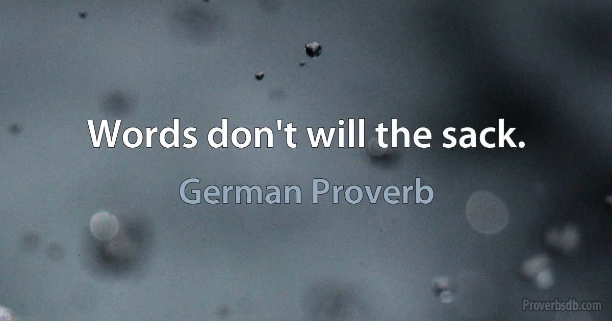 Words don't will the sack. (German Proverb)