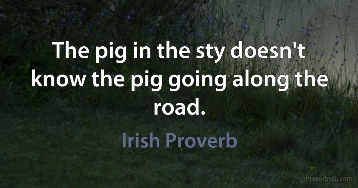 The pig in the sty doesn't know the pig going along the road. (Irish Proverb)