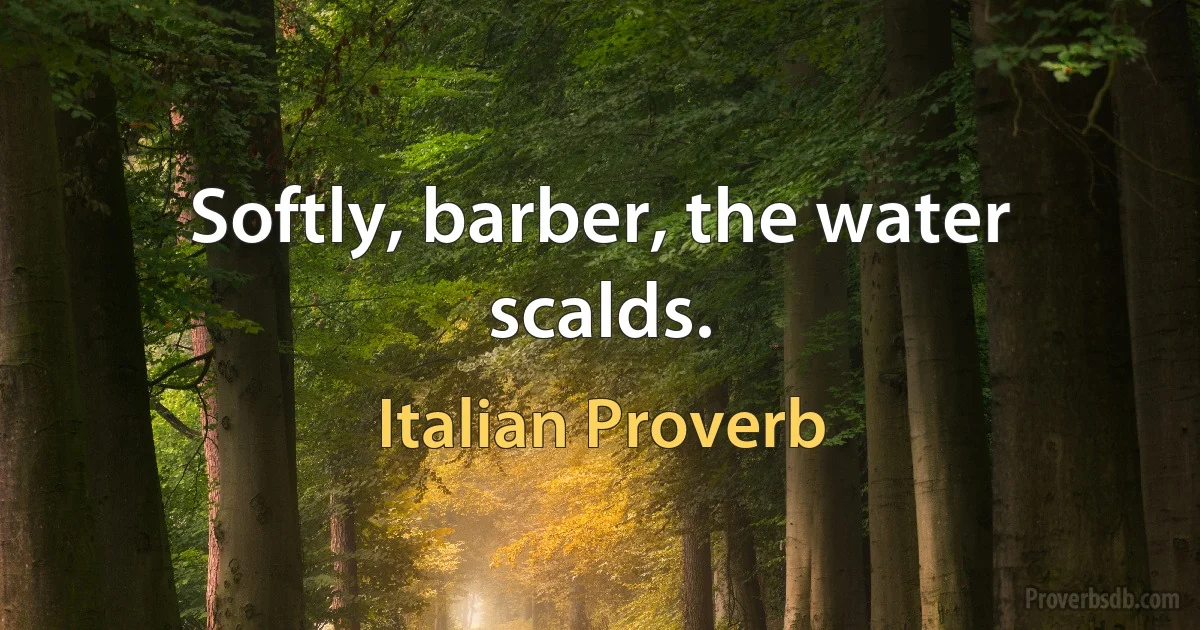 Softly, barber, the water scalds. (Italian Proverb)