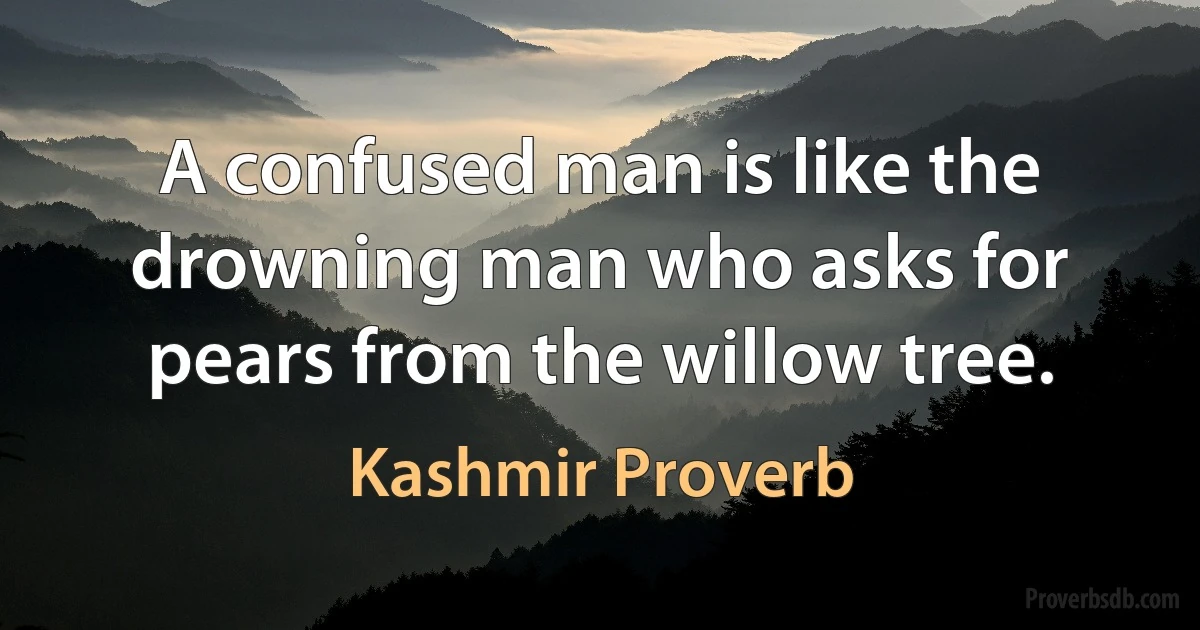 A confused man is like the drowning man who asks for pears from the willow tree. (Kashmir Proverb)