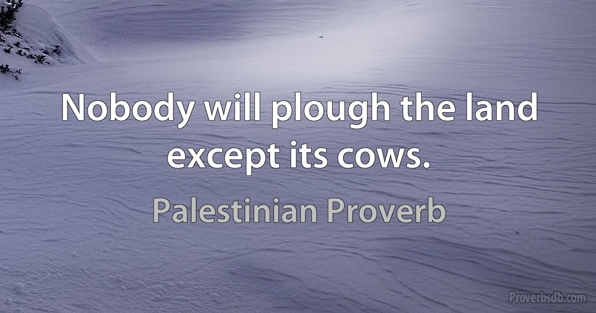 Nobody will plough the land except its cows. (Palestinian Proverb)