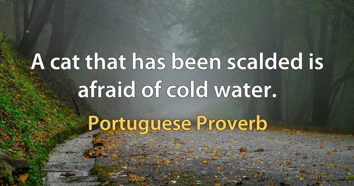 A cat that has been scalded is afraid of cold water. (Portuguese Proverb)