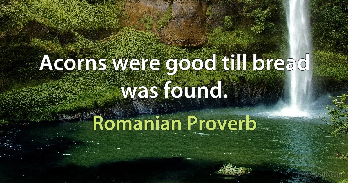 Acorns were good till bread was found. (Romanian Proverb)