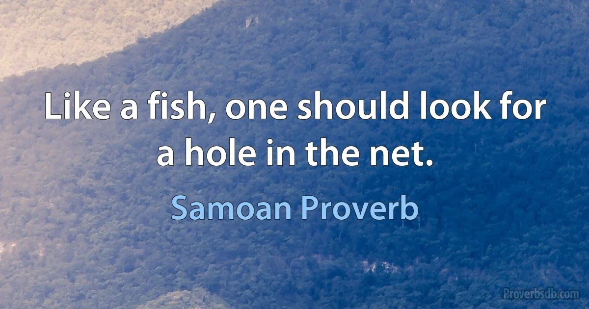 Like a fish, one should look for a hole in the net. (Samoan Proverb)