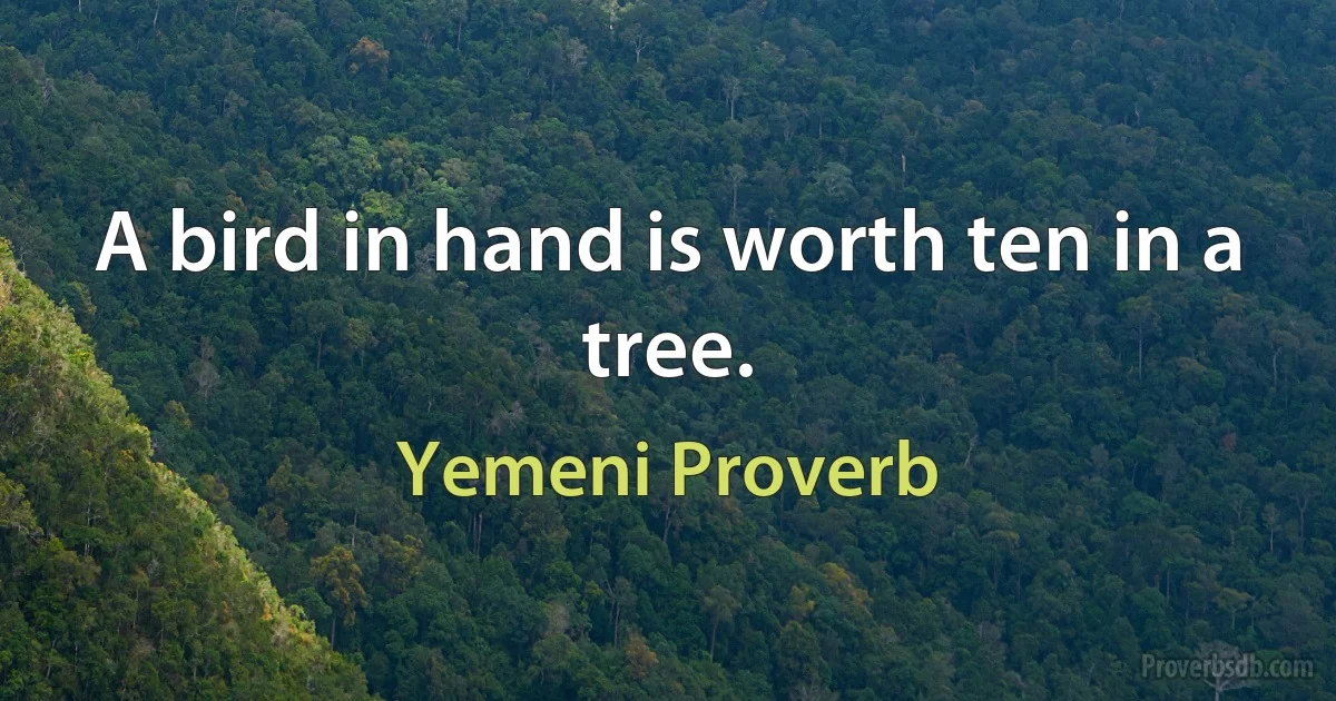 A bird in hand is worth ten in a tree. (Yemeni Proverb)