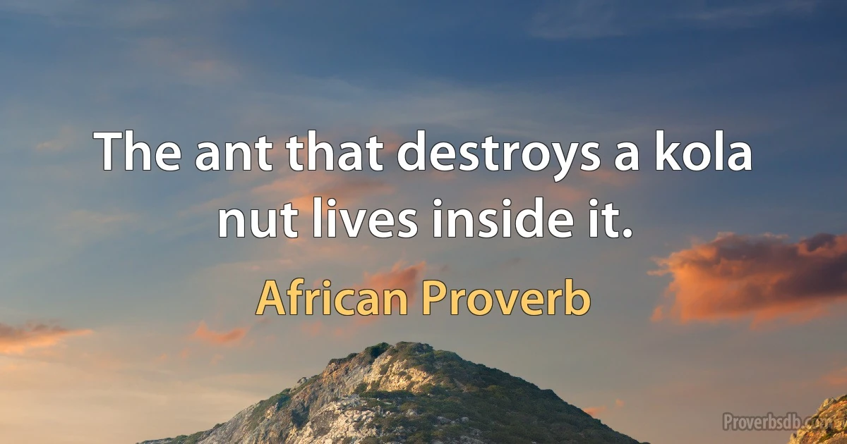 The ant that destroys a kola nut lives inside it. (African Proverb)