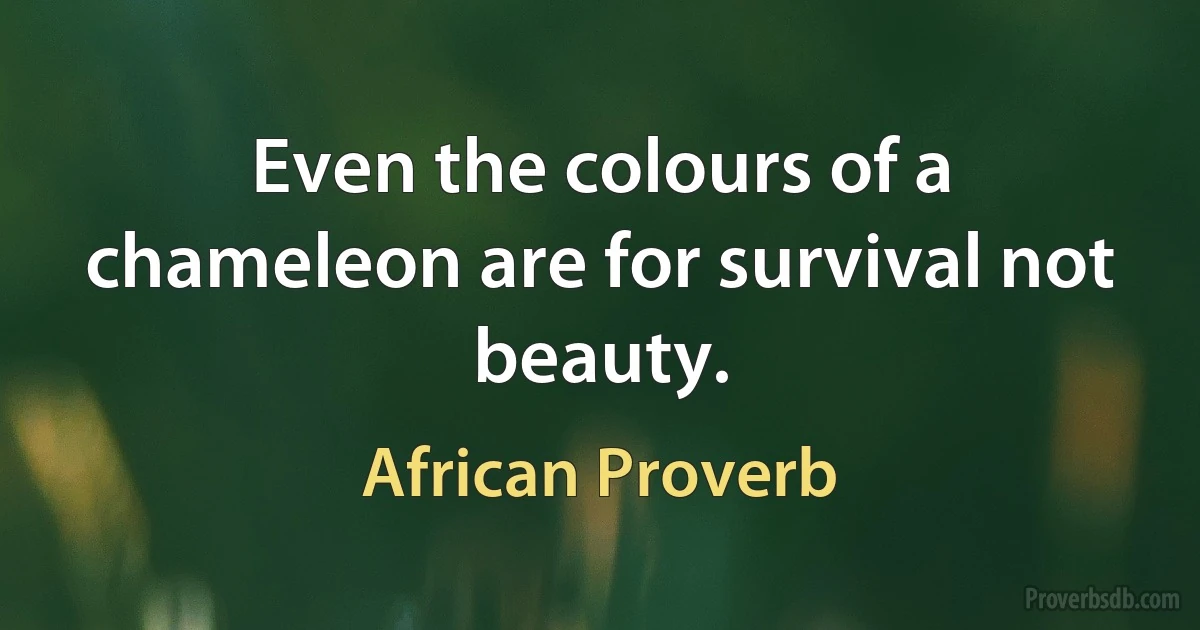 Even the colours of a chameleon are for survival not beauty. (African Proverb)