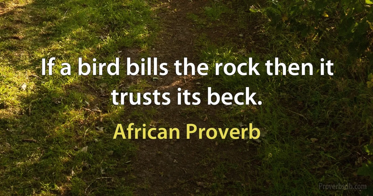 If a bird bills the rock then it trusts its beck. (African Proverb)