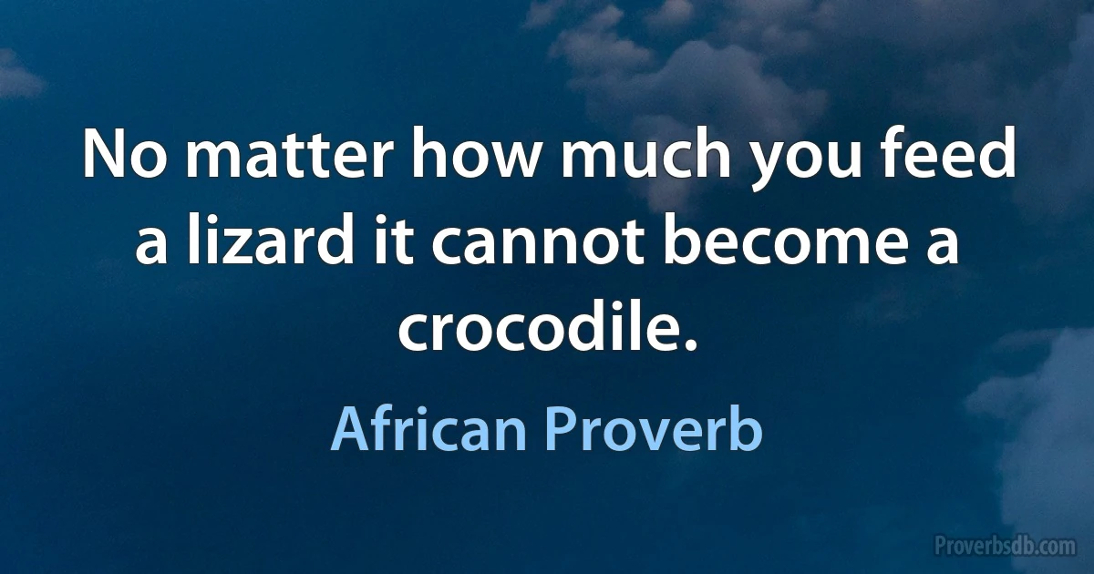 No matter how much you feed a lizard it cannot become a crocodile. (African Proverb)