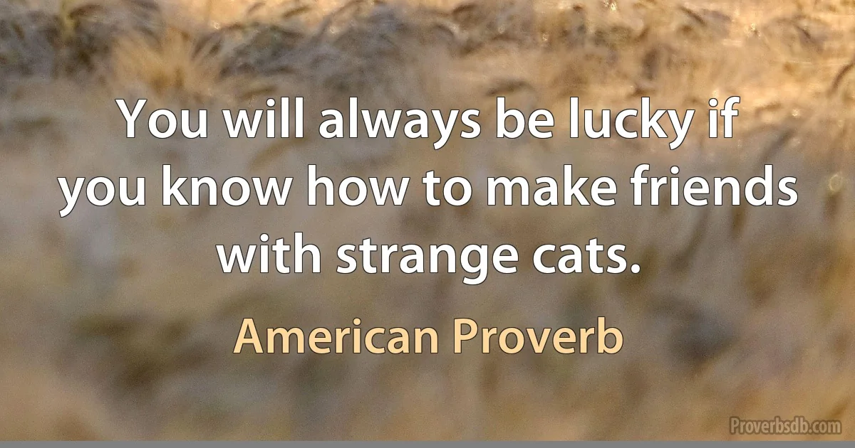 You will always be lucky if you know how to make friends with strange cats. (American Proverb)