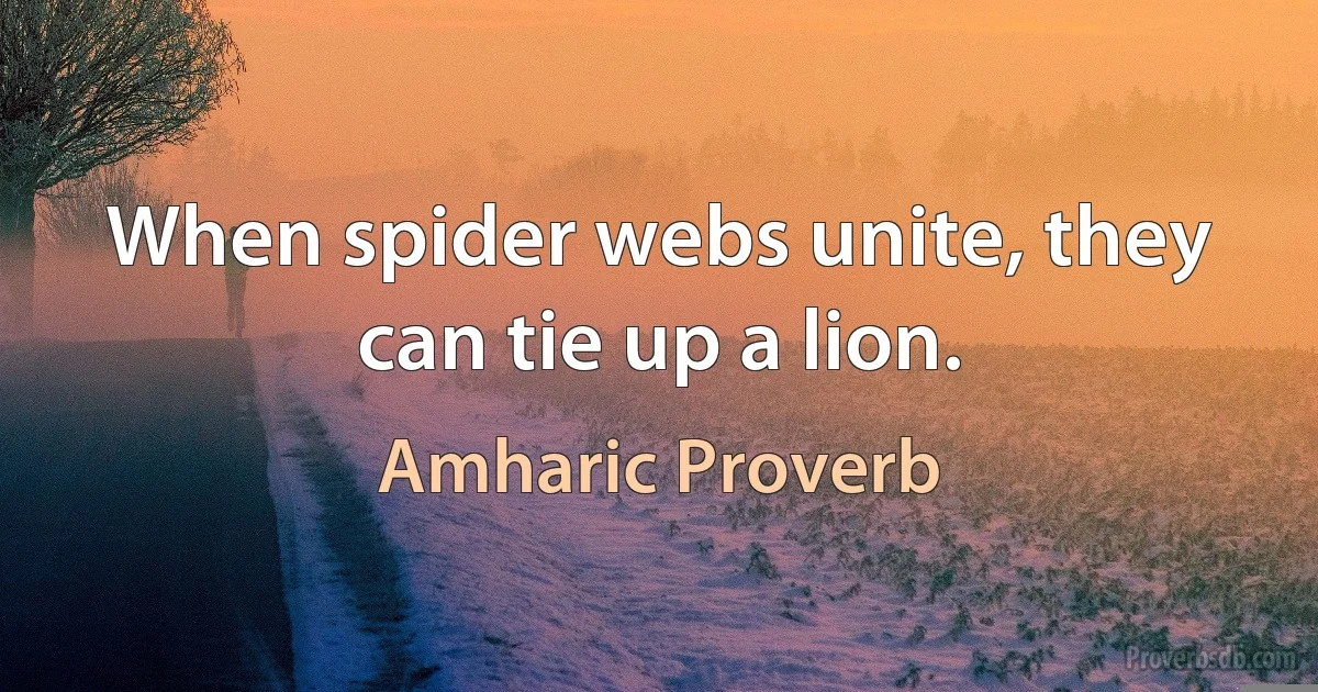 When spider webs unite, they can tie up a lion. (Amharic Proverb)