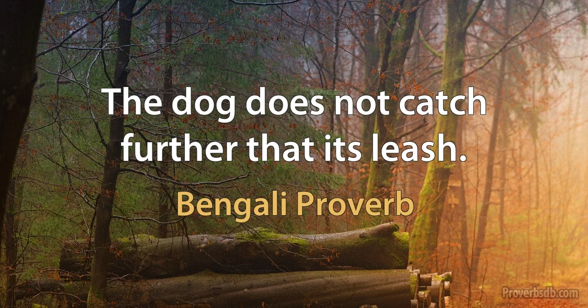 The dog does not catch further that its leash. (Bengali Proverb)