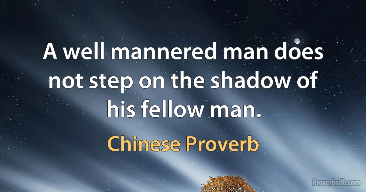 A well mannered man does not step on the shadow of his fellow man. (Chinese Proverb)