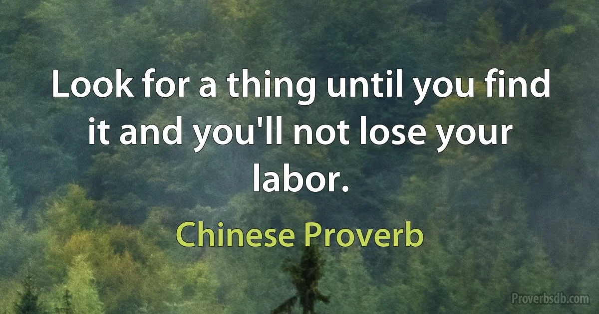 Look for a thing until you find it and you'll not lose your labor. (Chinese Proverb)