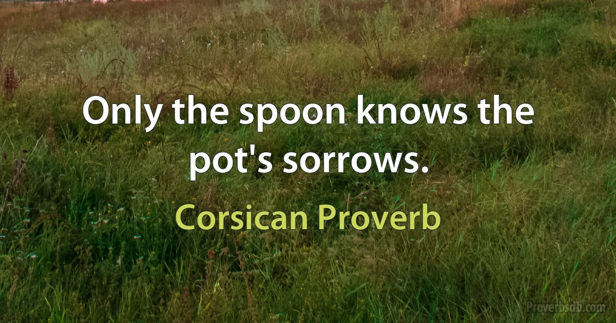 Only the spoon knows the pot's sorrows. (Corsican Proverb)