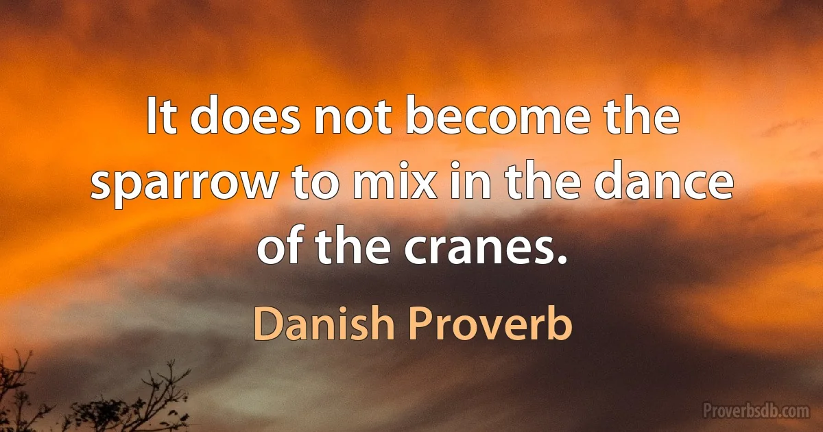 It does not become the sparrow to mix in the dance of the cranes. (Danish Proverb)