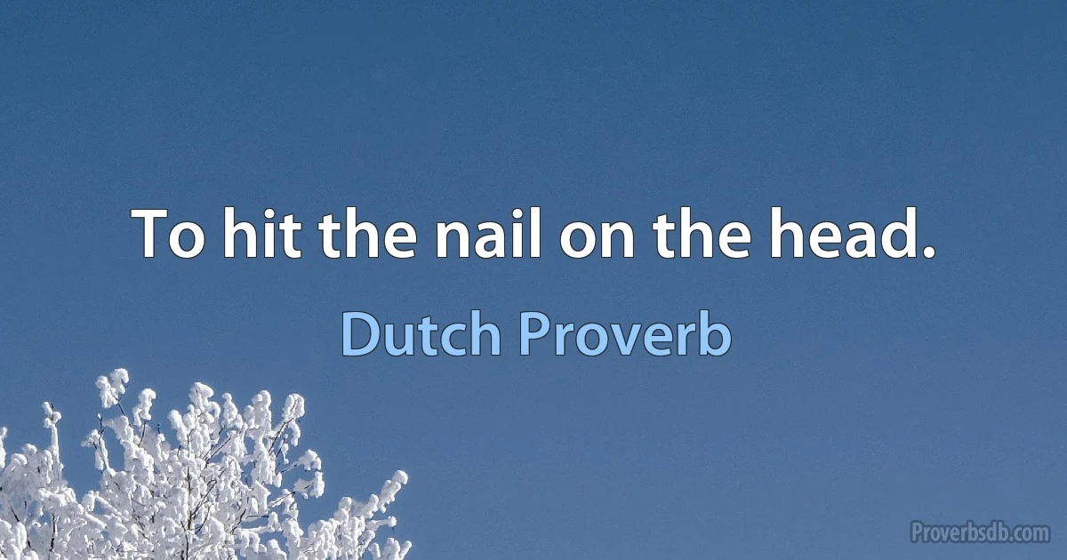 To hit the nail on the head. (Dutch Proverb)