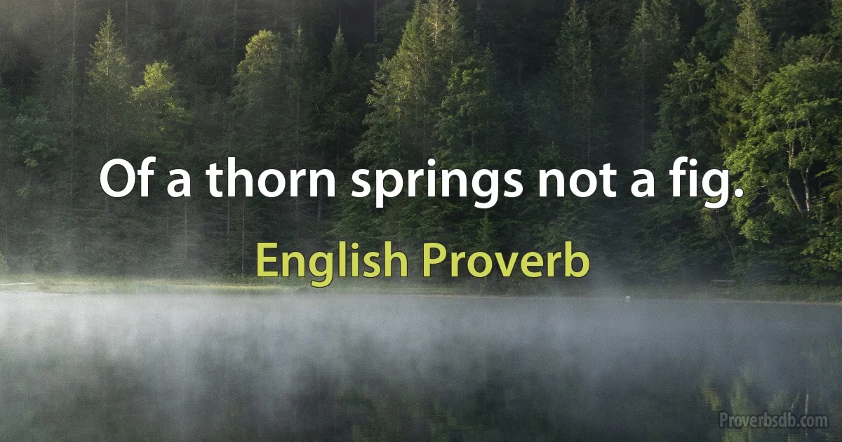 Of a thorn springs not a fig. (English Proverb)