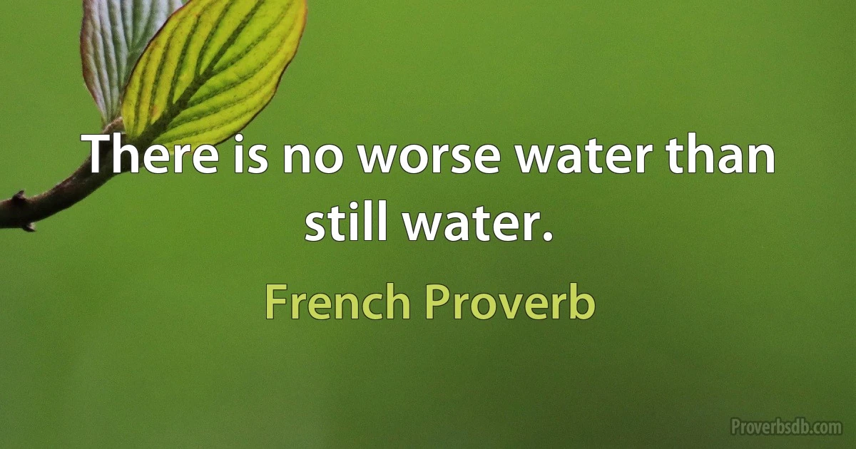 There is no worse water than still water. (French Proverb)