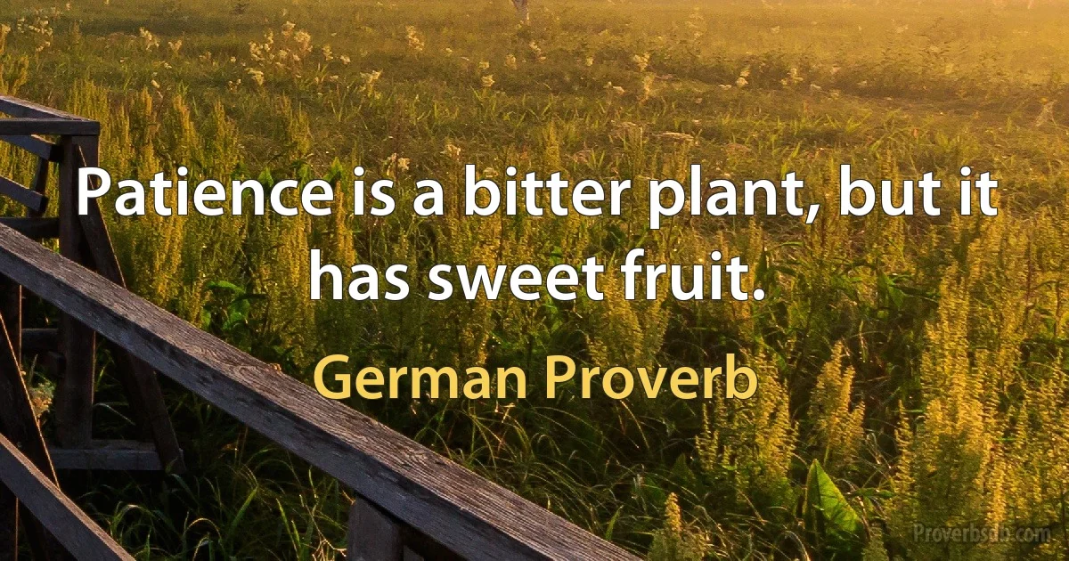 Patience is a bitter plant, but it has sweet fruit. (German Proverb)