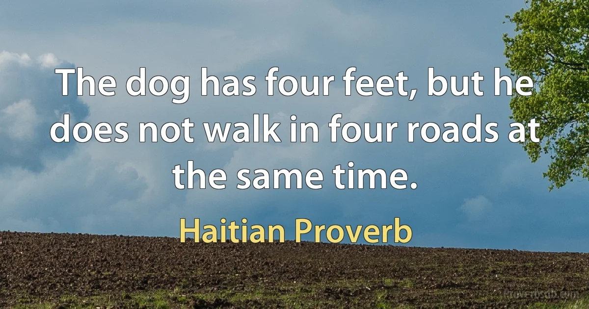 The dog has four feet, but he does not walk in four roads at the same time. (Haitian Proverb)