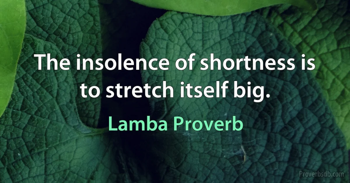 The insolence of shortness is to stretch itself big. (Lamba Proverb)