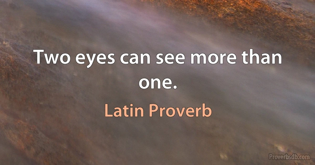 Two eyes can see more than one. (Latin Proverb)