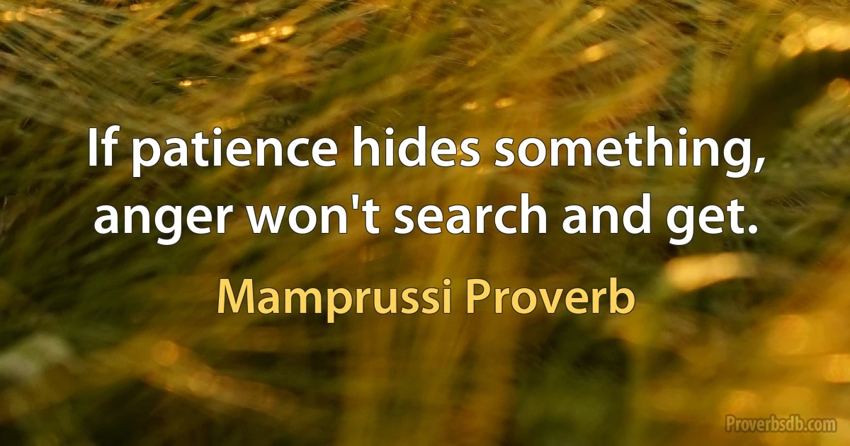 If patience hides something, anger won't search and get. (Mamprussi Proverb)