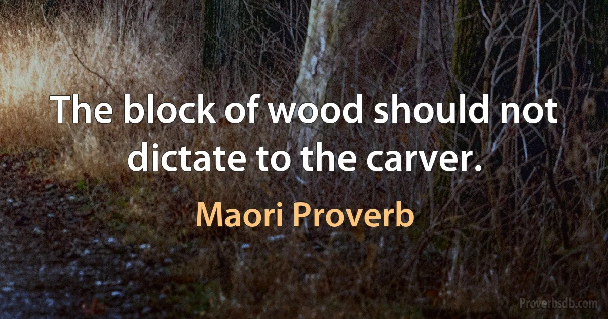 The block of wood should not dictate to the carver. (Maori Proverb)