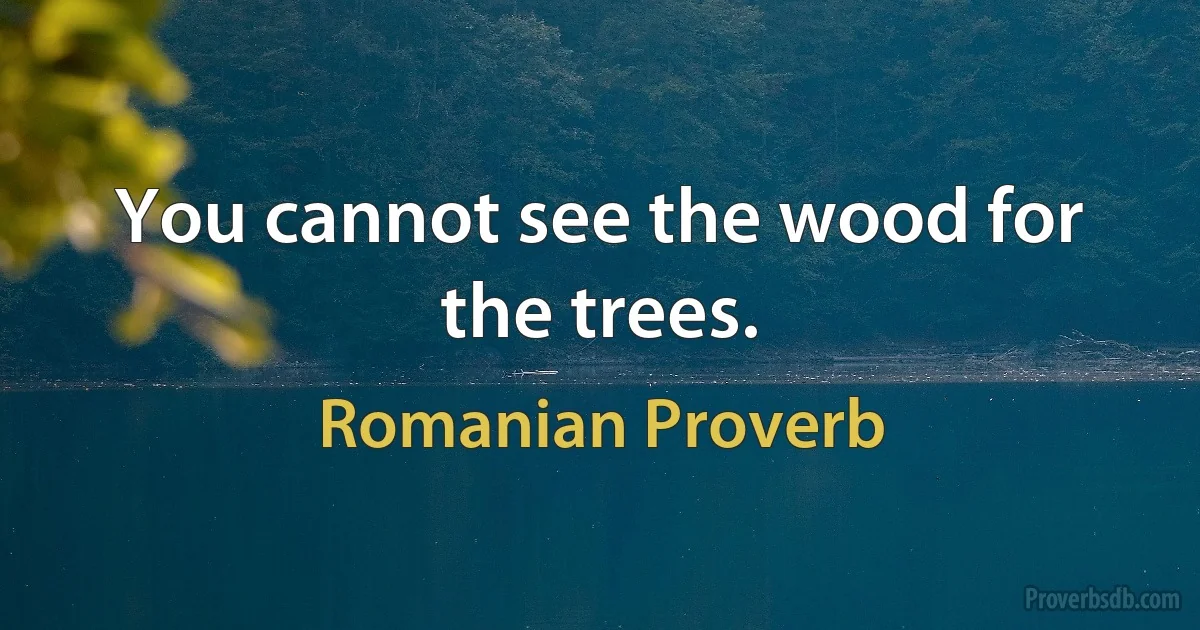 You cannot see the wood for the trees. (Romanian Proverb)